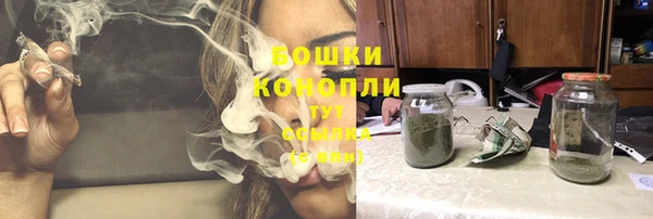 ECSTASY Костерёво
