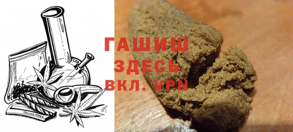 прущие грибы Коряжма