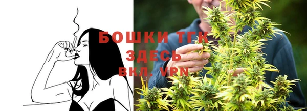 прущие грибы Коряжма