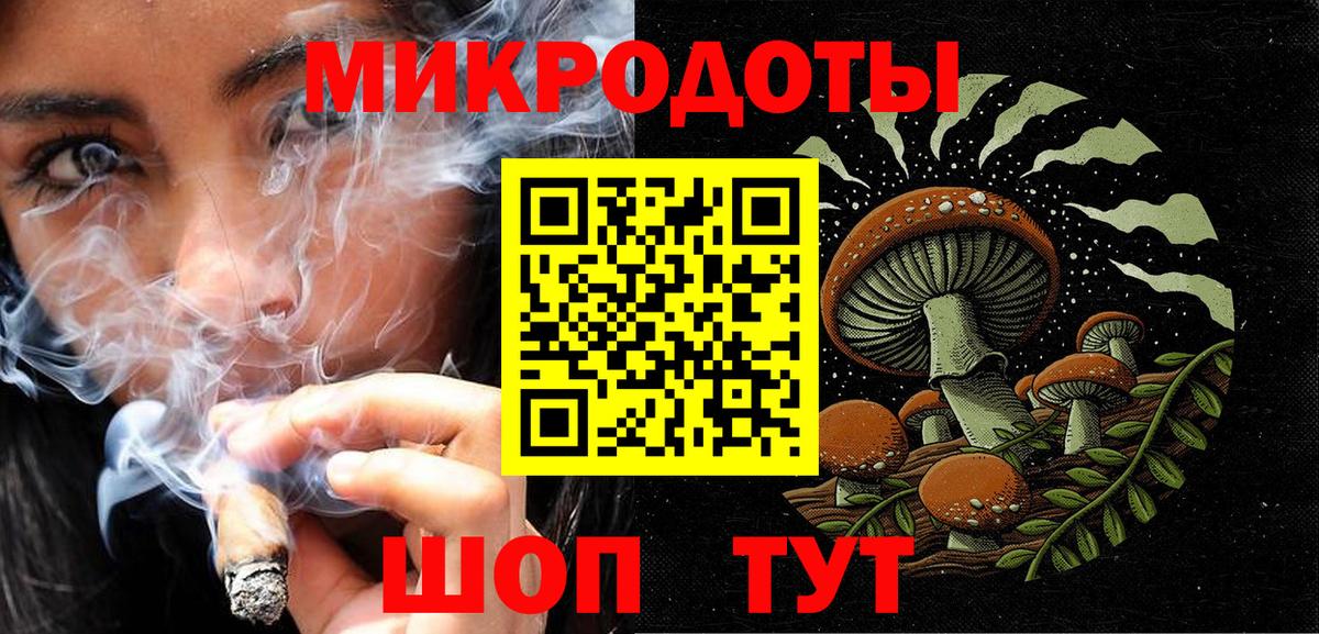 Псилоцибиновые грибы Cubensis Кировск